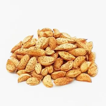 Natural Kagzi Almonds